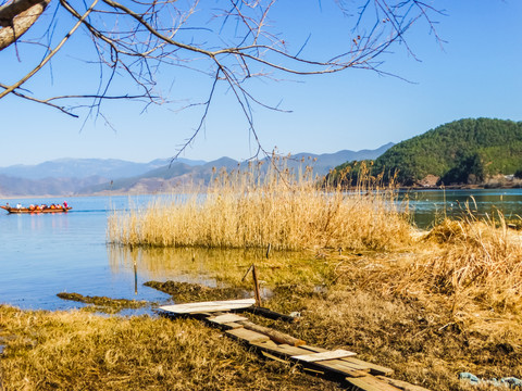 泸沽湖湿地