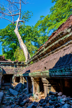 柬埔寨暹粒吴哥圣剑寺