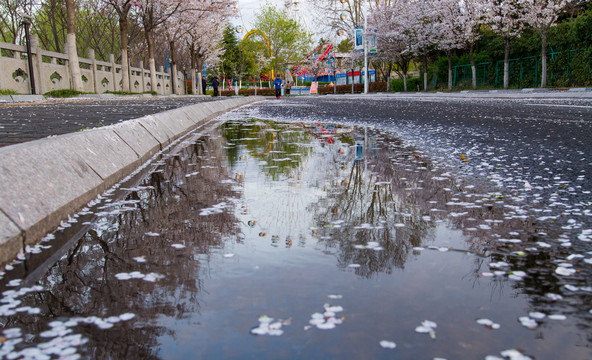 雨后