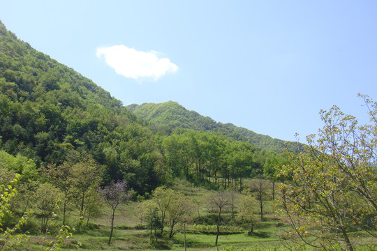 蓝天下的秦岭岱峪