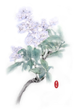 复古丁香花