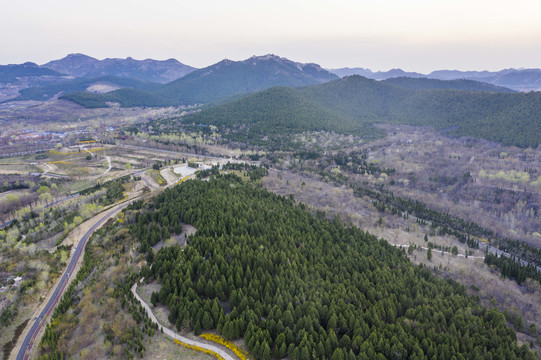 航拍山东青州森林公园春景