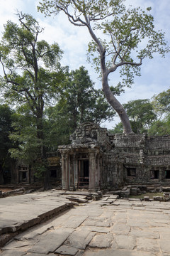 柬埔寨吴哥塔布茏寺