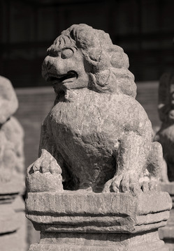 古代石狮雕塑