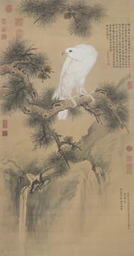 郎世寧白鶻圖