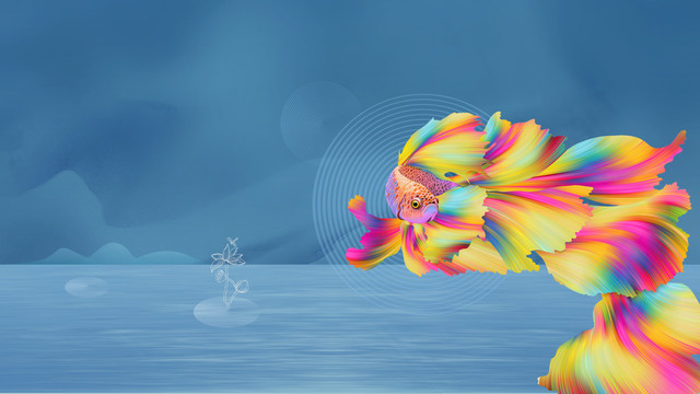 提案主KV夏魚(yú)