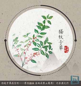 中草藥百科貓秋子草
