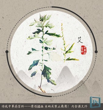 中草藥百科艾