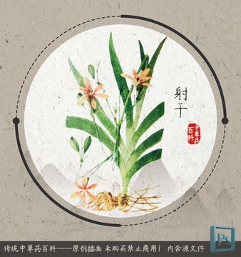 中草藥百科射干