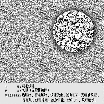 羽毛纹理