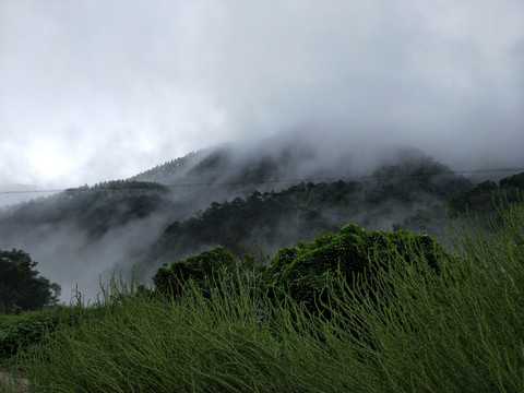 风景