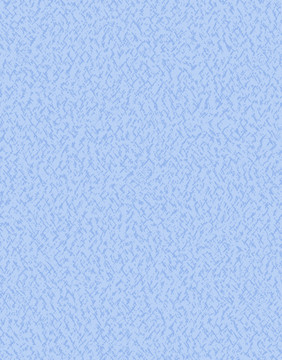 機(jī)理底紋磨毛
