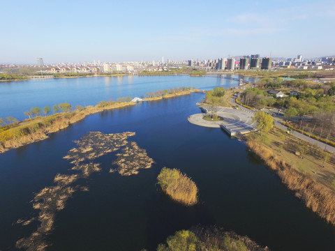 莱州河套湿地公园风光