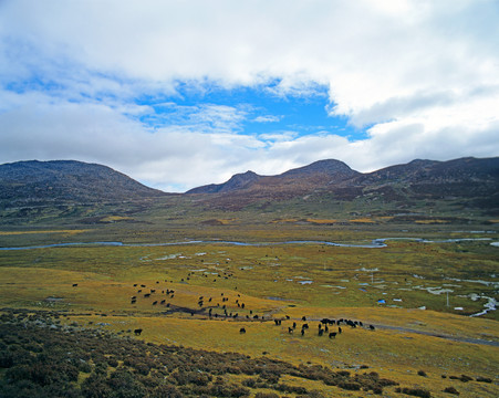 高原牧场