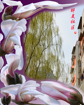 望春玉蘭分層花卉邊框