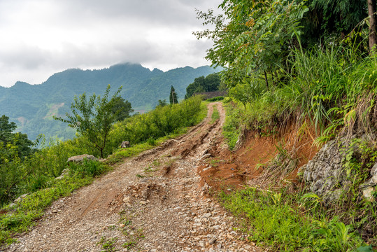 乡村道路