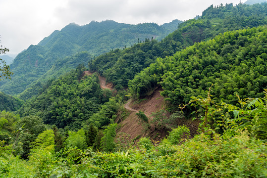 乡村道路