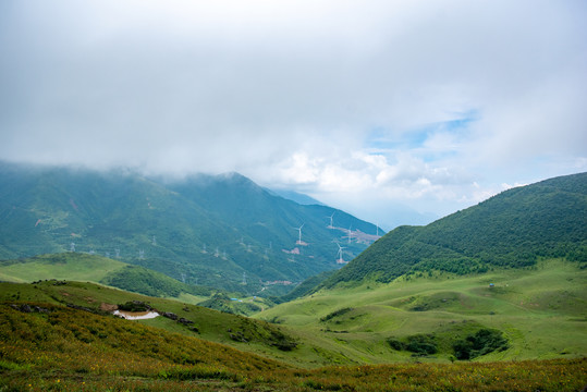 泥巴山大草原