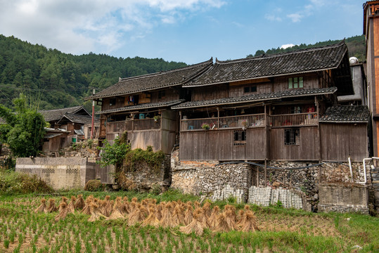 石桥古法造纸文化旅游景区