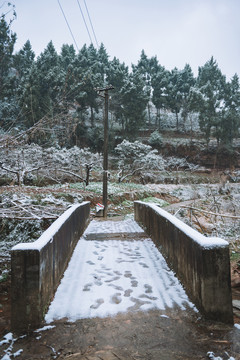 龙泉山雪景