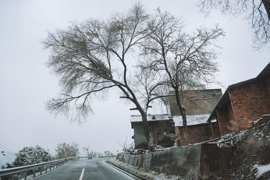 龙泉山雪景