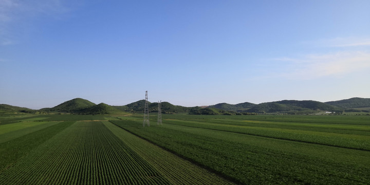 绿色田野