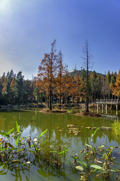 金华北山徐公湖