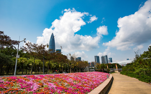 粤港澳大湾区深圳湾