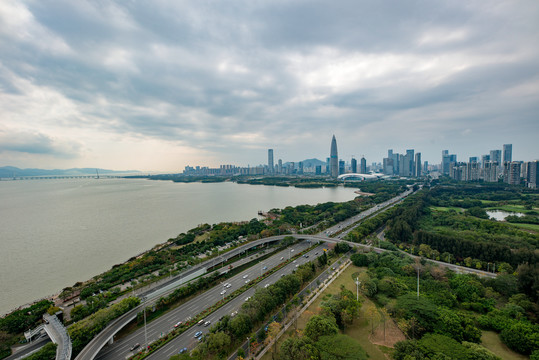 粤港澳大湾区深圳湾