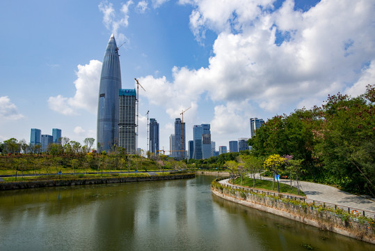 粤港澳大湾区深圳湾