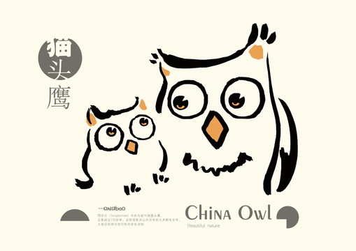 貓頭鷹