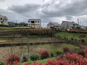 春天的田野