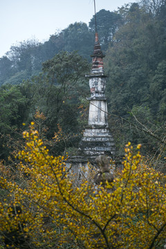 大邑白岩寺