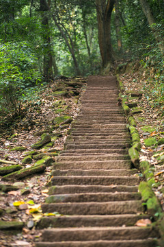 大邑白岩寺