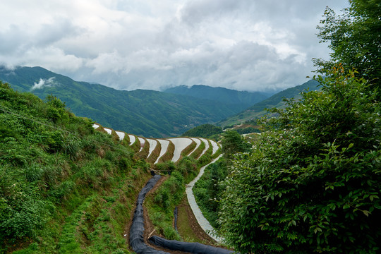 绿色旅游