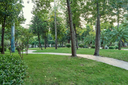 公园树林