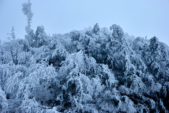 雪景