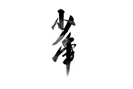 少年書法藝術(shù)字