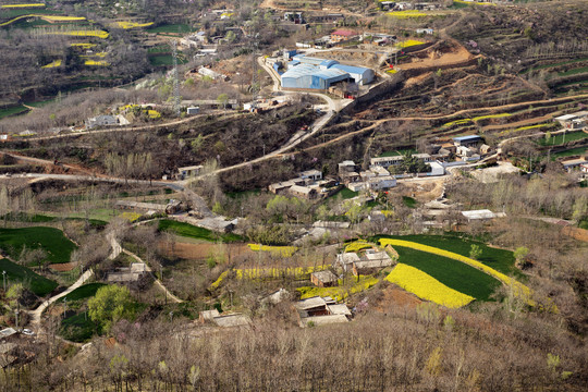 山村春色