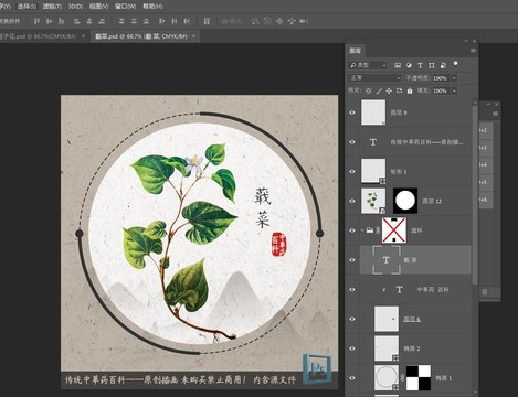 中草藥植物百科蕺菜