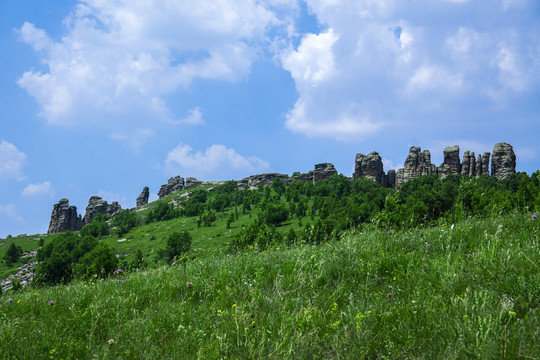 草原