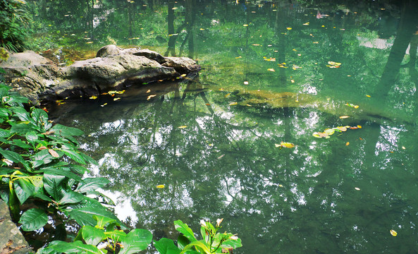 水景