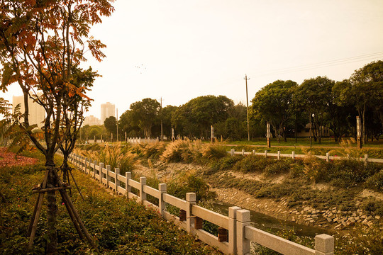 泉州筍江公園