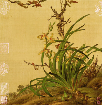 郎世寧花鳥圖冊