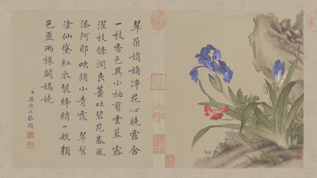 郎世寧蘭草圖
