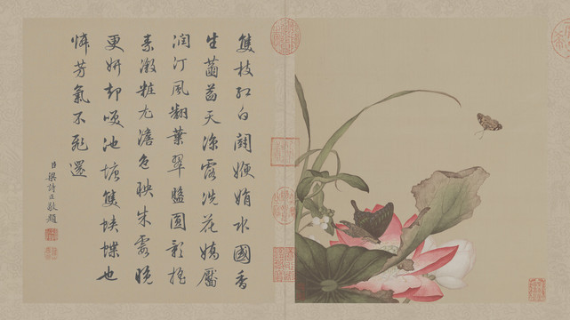 郎世寧蟲草圖