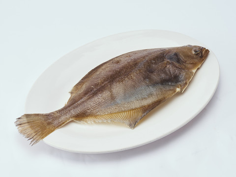 比目魚