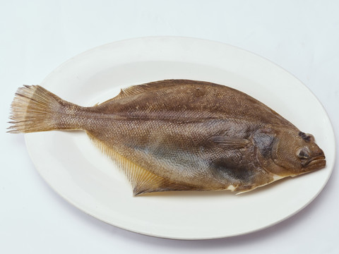 比目魚