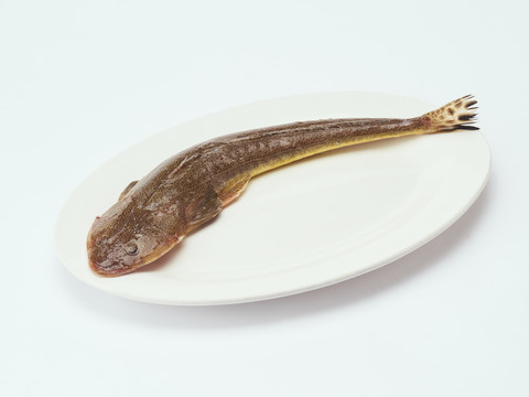 辮子魚