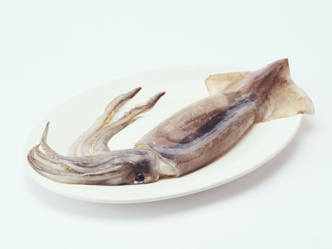 魷魚